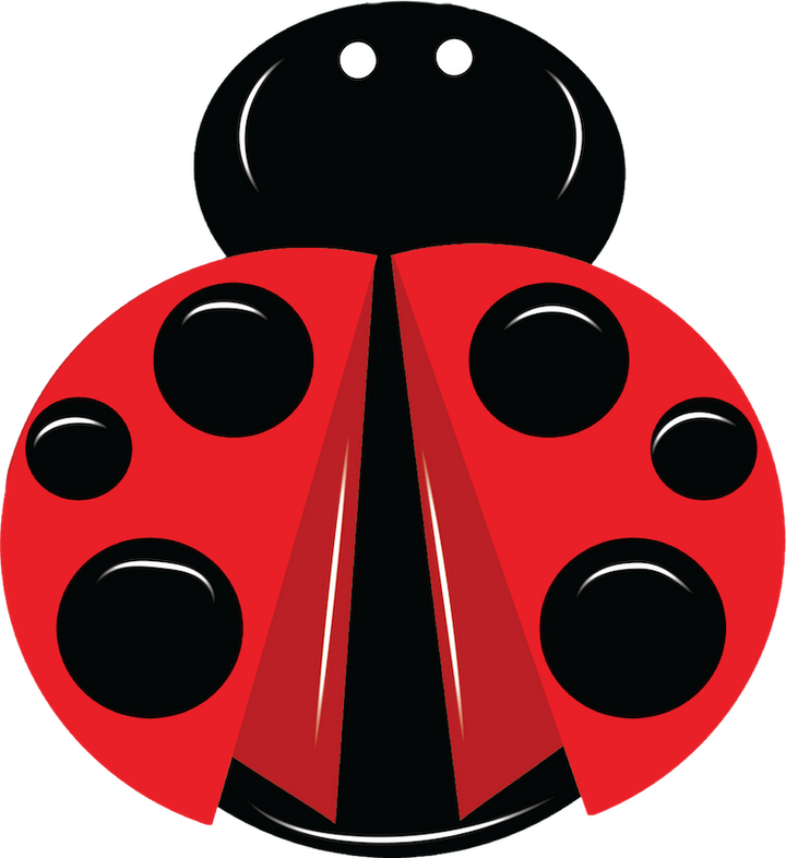 Lady Bug Yard Decoration